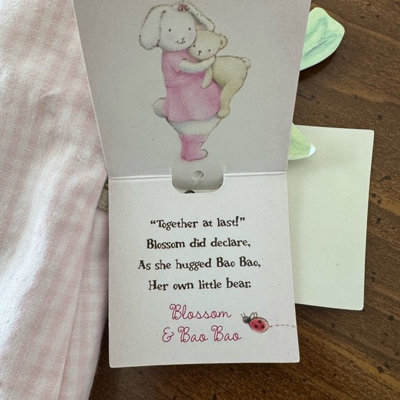 Blossom and Bao Bao 2-Piece Baby Set – NWT – Hand-Painted Applique – 6-12M - Picture 6 of 10